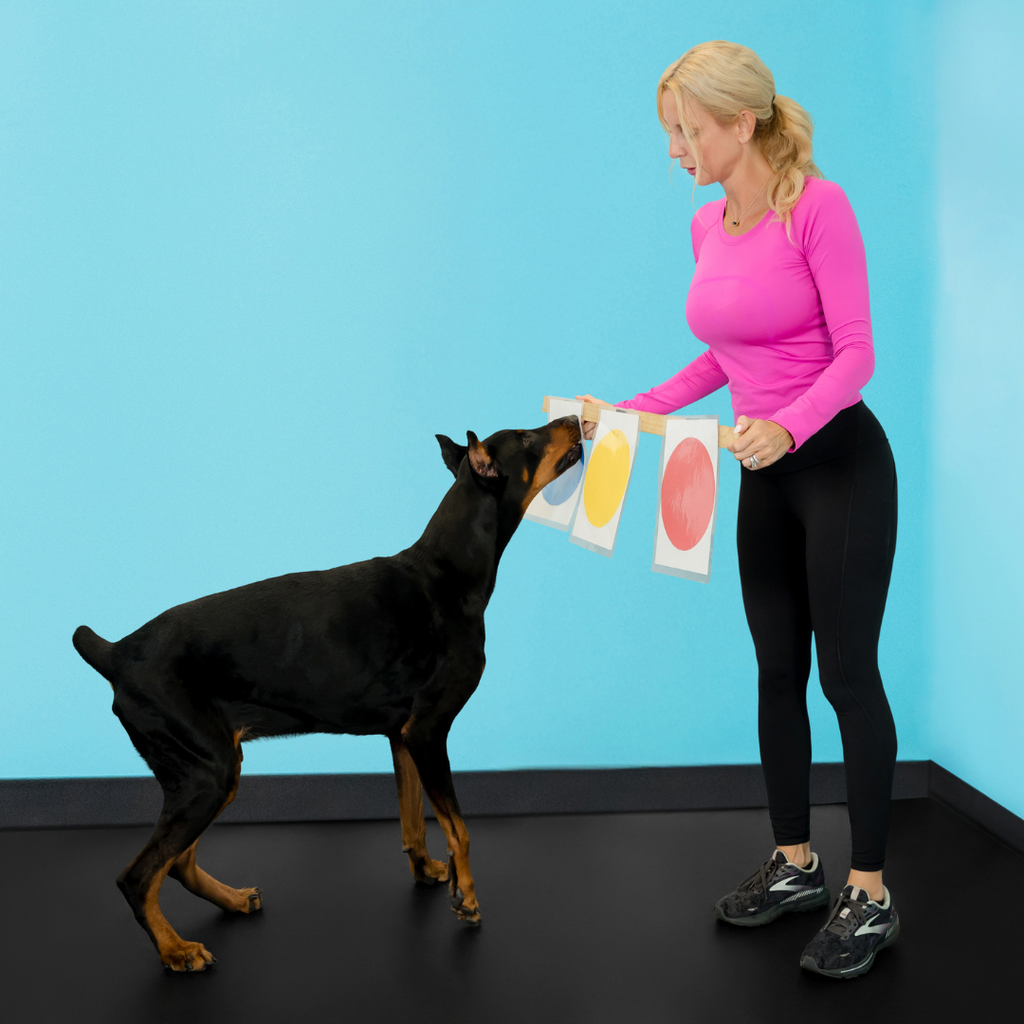 Dog Training Made Simple: The New Owner's Manual for Raising a Happy, Well-Behaved Pup