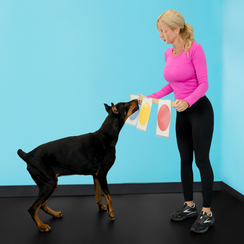 Dog Training Made Simple: The New Owner's Manual for Raising a Happy, Well-Behaved Pup