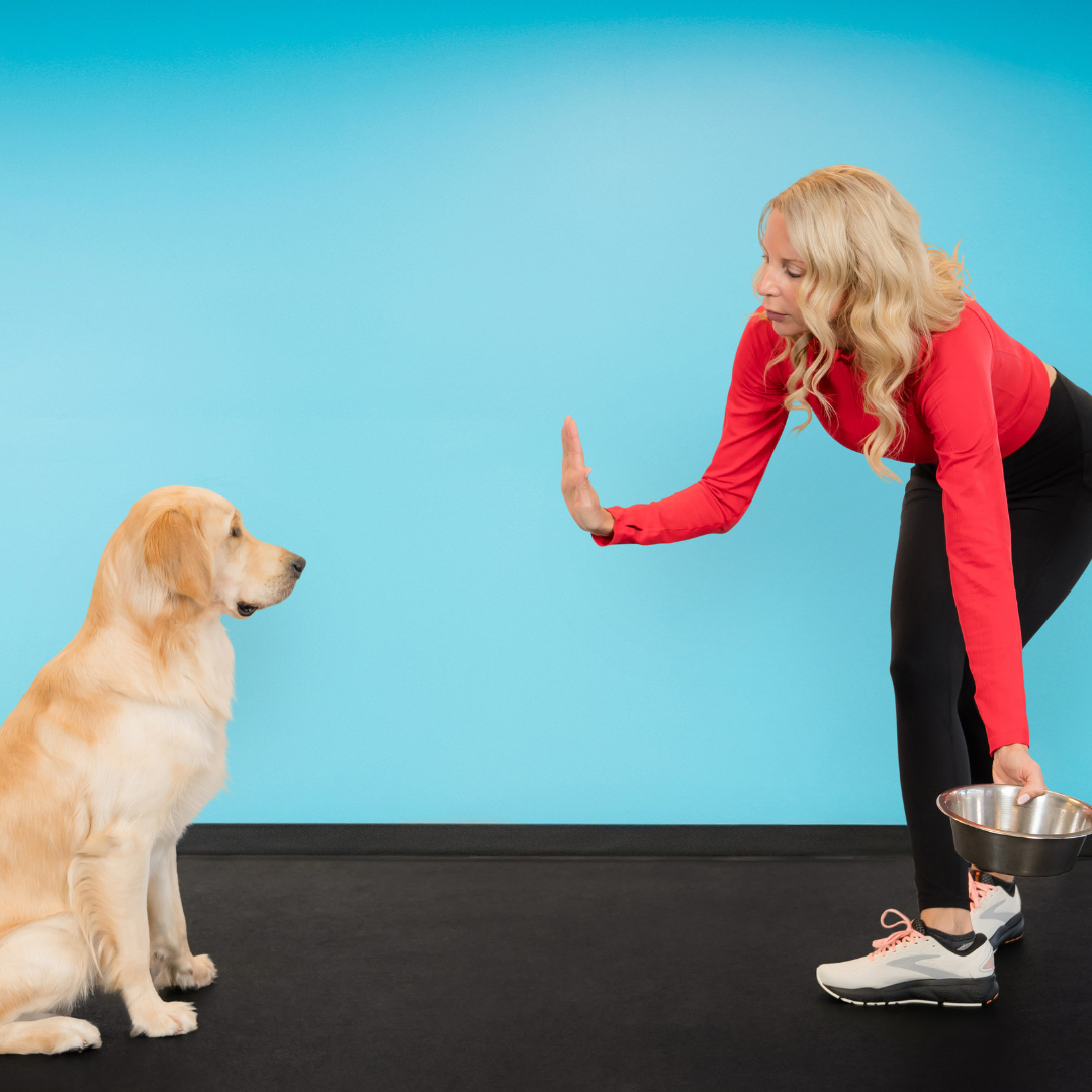Dog Training Made Simple: The New Owner's Manual for Raising a Happy, Well-Behaved Pup