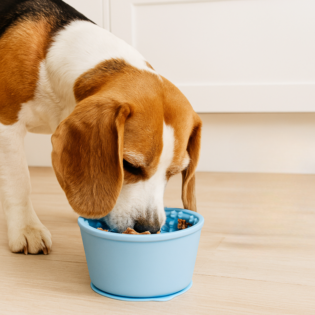 WOOZAPET Buddy Bowl Dog Slow Feeder Lick Bowl