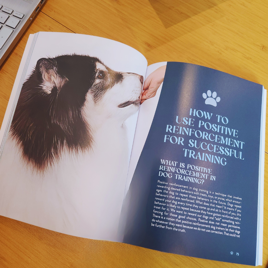 Dog Training Made Simple: The New Owner's Manual for Raising a Happy, Well-Behaved Pup