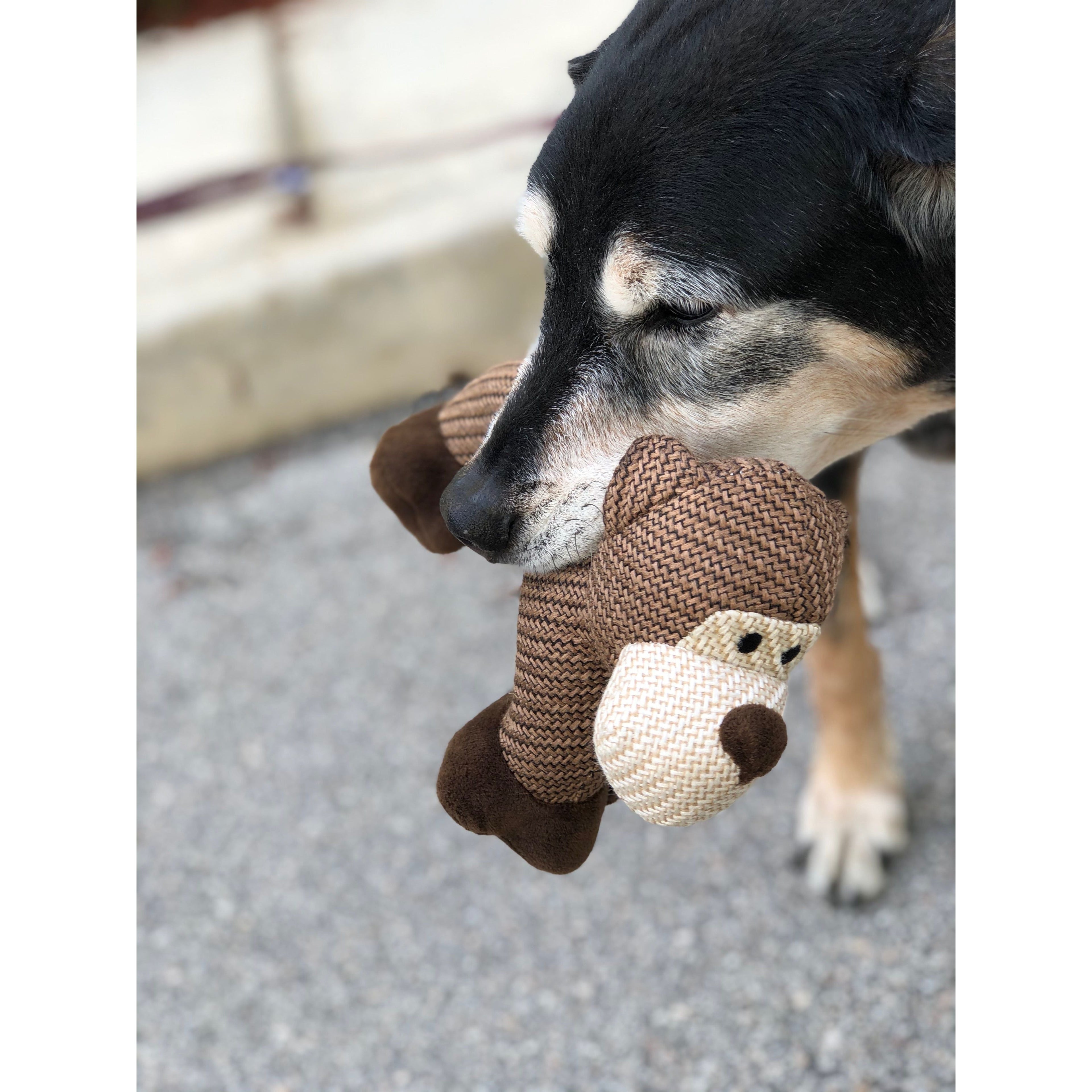 Minimalist-Dog-Toy.jpg