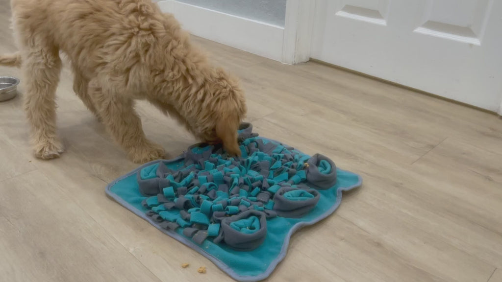 WOOZAPET Snuffle Mat for Dogs